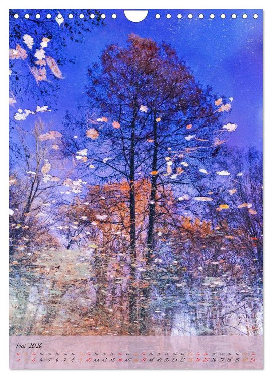 Produktbild: Wo der Wald tr&auml;umt (Wandkalender 2026 DIN A4 hoch), CALVENDO Monatskalender