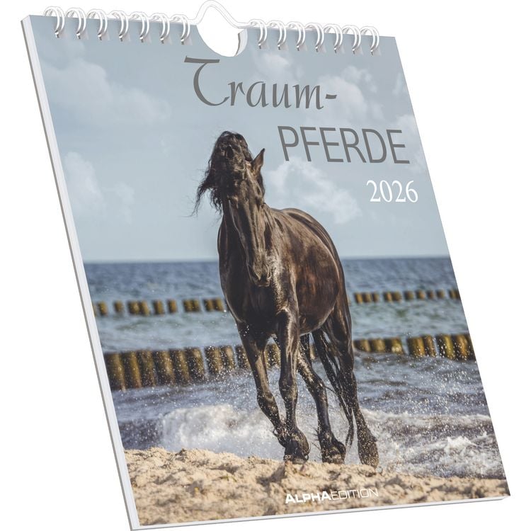 Bild vom Artikel Traumpferde 2026 - Postkartenkalender 16x17 cm - Horses - zum Aufstellen oder Aufhängen - Monatskalendarium - Gadget - Mitbringsel - Alpha Edition vom Autor Alpha Edition
