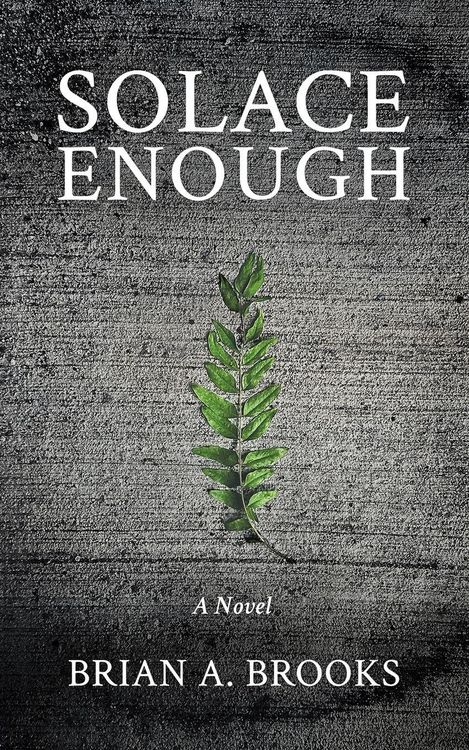 Produktbild: Solace Enough