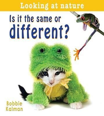 Produktbild: Is It the Same or Different?