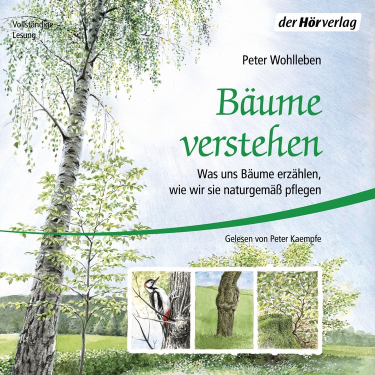 Produktbild: B&auml;ume verstehen
