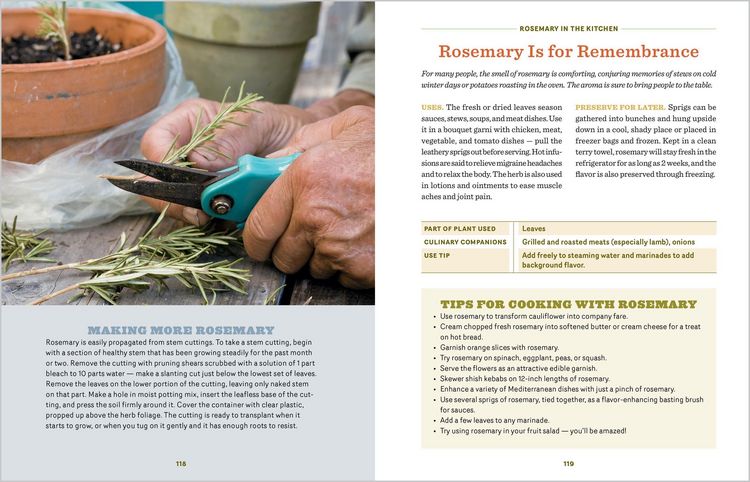 Produktbild: The Beginner's Guide to Edible Herbs