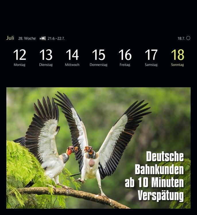 Produktbild: Animal Memes Postkartenkalender 2027 - 53 tierisch witzige Postkarten