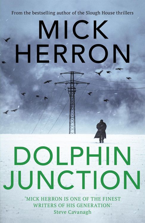 Produktbild: Herron, M: Dolphin Junction