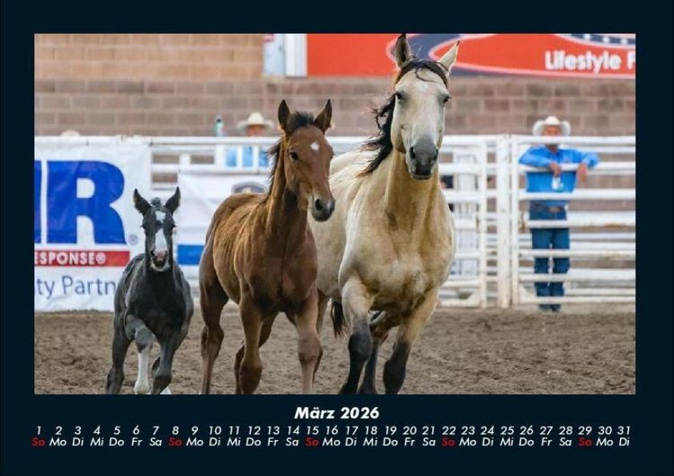 Produktbild: Pferdetraum 2026 Fotokalender DIN A4