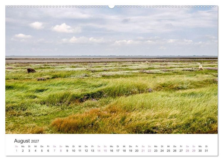 Produktbild: Hamburger Hallig - Der Weg ist das Ziel (hochwertiger Premium Wandkalender 2027 DIN A2 quer), Kunstdruck in Hochglanz