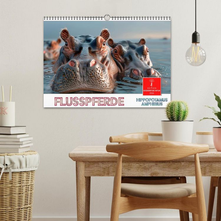 Produktbild: Flusspferde - Hippopotamus amphibius (Wandkalender 2026 DIN A3 quer), CALVENDO Monatskalender