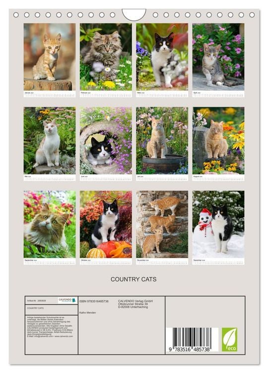 Produktbild: COUNTRY CATS (Wandkalender 2026 DIN A4 hoch), CALVENDO Monatskalender