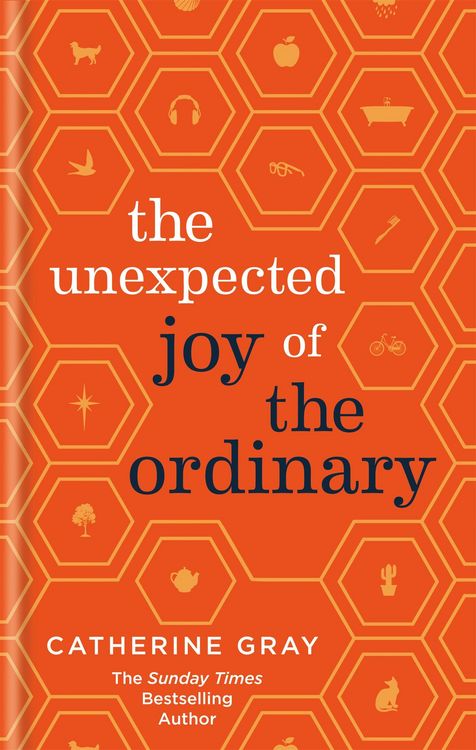 Produktbild: The Unexpected Joy of the Ordinary