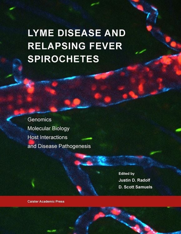 Produktbild: Lyme Disease and Relapsing Fever Spirochetes