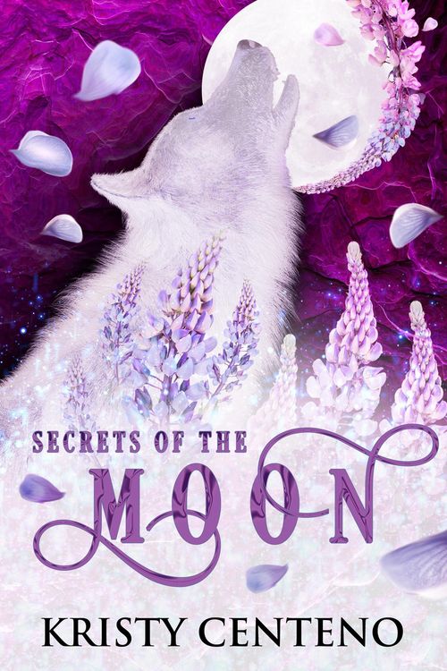 Produktbild: Secrets of the Moon (Chronicles of the Lost Child, #1)