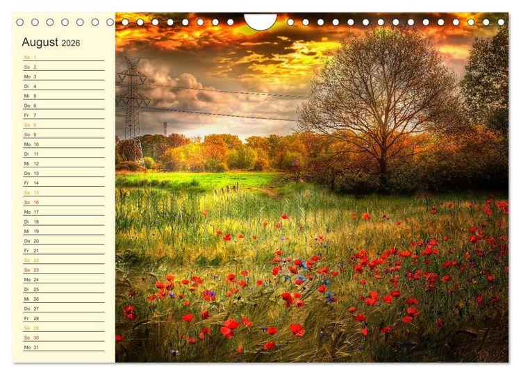 Produktbild: Friesland, verzauberte Landschaft an der Nordsee (Wandkalender 2026 DIN A4 quer), CALVENDO Monatskalender