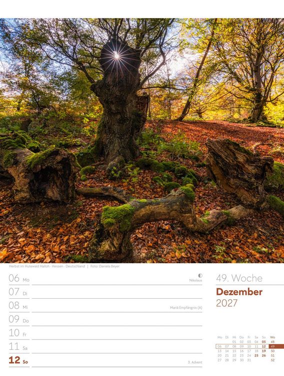 Produktbild: Unser Wald Wochenplaner Kalender 2027