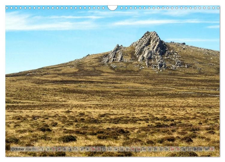 Produktbild: In the Falkland Islands (Wall Calendar 2026 DIN A3 landscape), CALVENDO 12 Month Wall Calendar