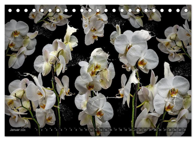 Produktbild: Orchidea (Tischkalender 2026 DIN A5 quer), CALVENDO Monatskalender