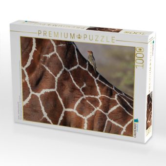 Produktbild: CALVENDO Puzzle Giraffen - Sanftheit und Anmut (1) | 1000 Teile Lege-Gr&ouml;&szlig;e 64x48cm Foto-Puzzle f&uuml;r gl&uuml;ckliche Stunden