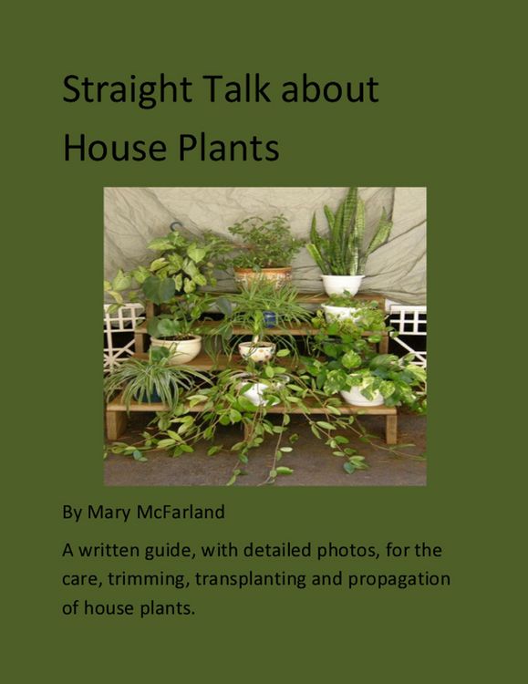 Produktbild: Straight Talk about House Plants