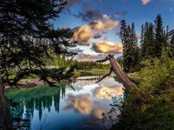 Produktbild: Bow River, Alberta (Puzzle)
