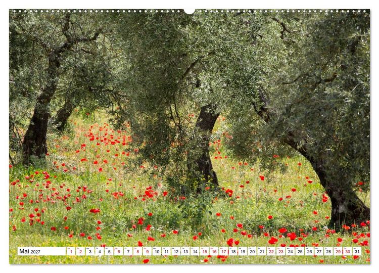 Produktbild: Momente einer Reise - Andalusien (Wandkalender 2027 DIN A2 quer), CALVENDO Monatskalender