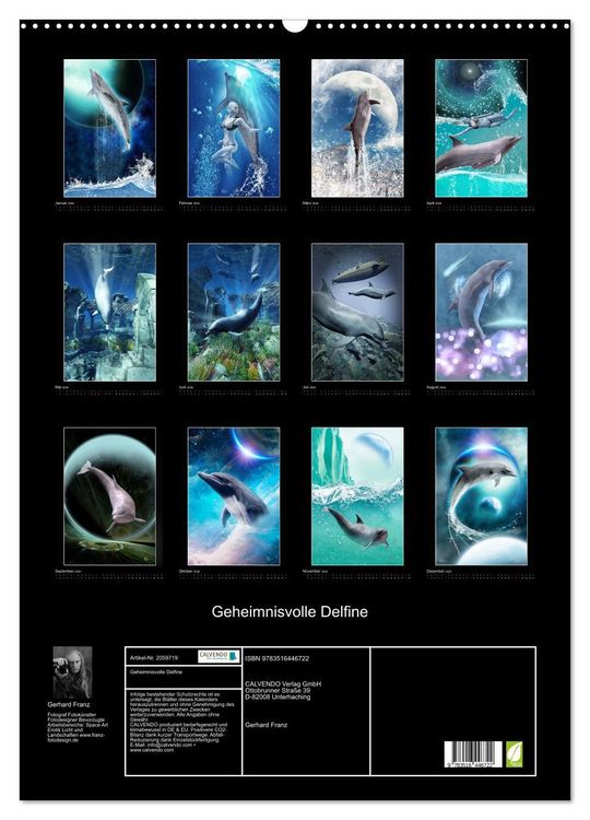 Produktbild: Geheimnisvolle Delfine (Wandkalender 2026 DIN A2 hoch), CALVENDO Monatskalender