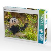Produktbild: CALVENDO Puzzle Ein Motiv aus dem Kalender Der Gro&szlig;e Panda Ein kuscheliger Geselle | 1000 Teile Lege-Gr&ouml;&szlig;e 64x48cm Foto-Puzzle f&uuml;r gl&uuml;ckliche Stunden
