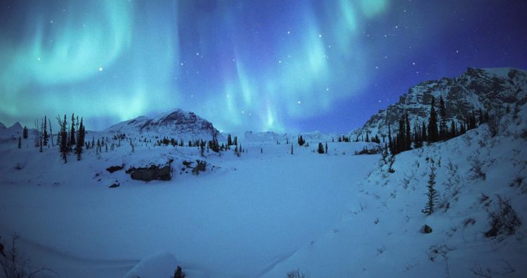 Produktbild: Die Abenteuer von Kina & Yuk - Zwei Polarf&uuml;chse entdecken die Welt