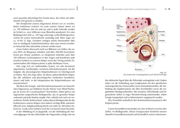 Produktbild: NeuroIntegrative Medizin: Durch k&ouml;rpereigene Intelligenz die Selbstheilungskr&auml;fte aktivieren