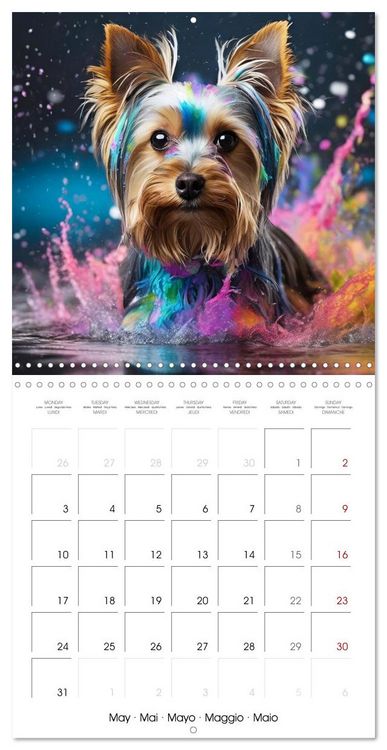 Produktbild: Colourful Splash Dogs (Wall Calendar 2027 12 &times; 12 Inch) CALVENDO 12 Month Wall Calendar