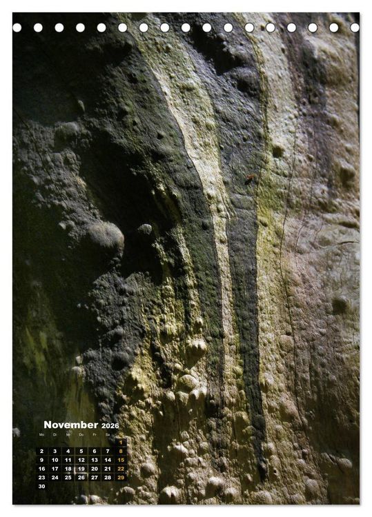 Produktbild: Zauberb&auml;ume (Tischkalender 2026 DIN A5 hoch), CALVENDO Monatskalender
