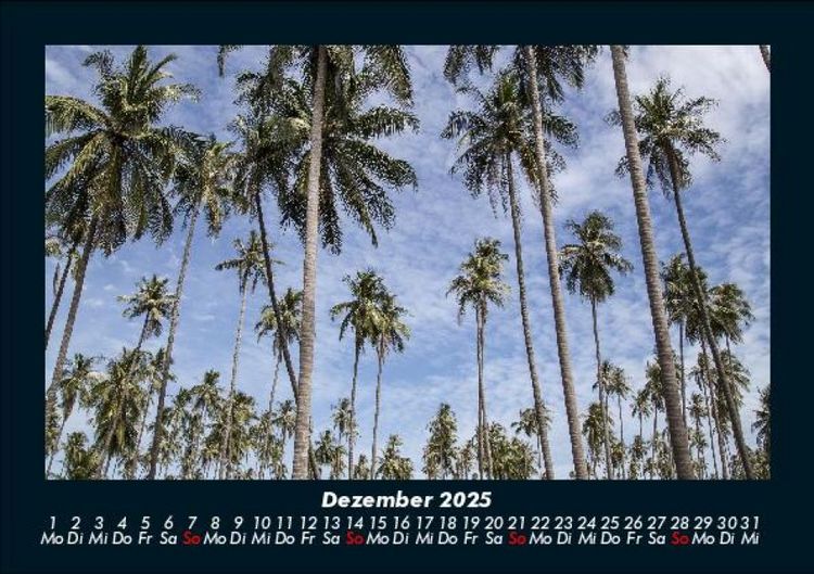 Produktbild: Palmentraum 2025 Fotokalender DIN A5