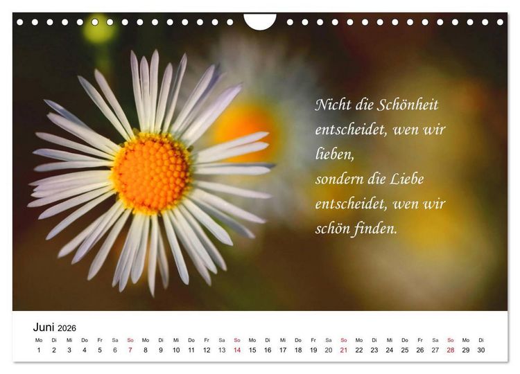 Produktbild: Lebensweisheiten 2026 (Wandkalender 2026 DIN A4 quer), CALVENDO Monatskalender