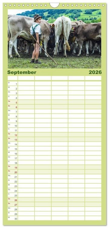 Produktbild: Familienplaner 2026 - Allg&auml;uer Sch&ouml;nheiten Allg&auml;u - Land der K&uuml;he mit 5 Spalten (Wandkalender, 21 x 45 cm) CALVENDO