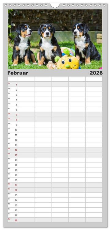Produktbild: Familienplaner 2026 - Schweizer Sennenhunde - aus den Schweizer Alpen mit 5 Spalten (Wandkalender, 21 x 45 cm) CALVENDO