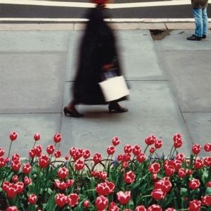 Produktbild: The Dance