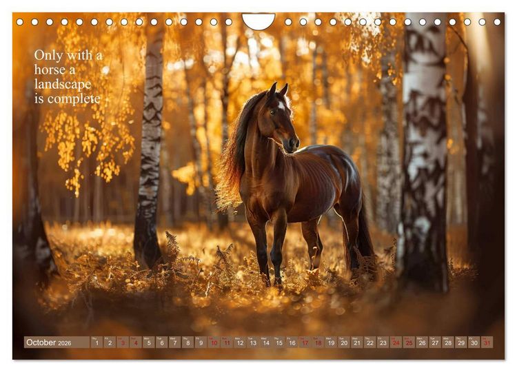 Produktbild: A Horse Makes You Complete (Wall Calendar 2026 DIN A4 landscape), CALVENDO 12 Month Wall Calendar