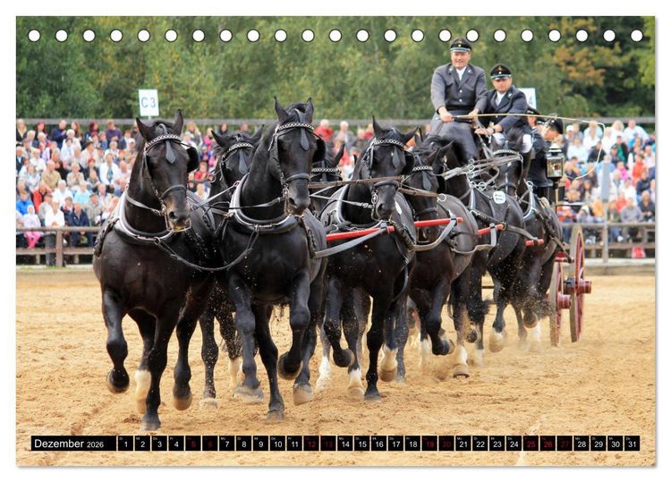 Produktbild: Schwere Warmbl&uuml;ter 2026 (Tischkalender 2026 DIN A5 quer), CALVENDO Monatskalender