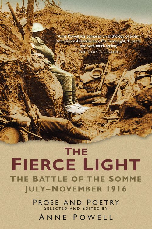 Produktbild: The Fierce Light