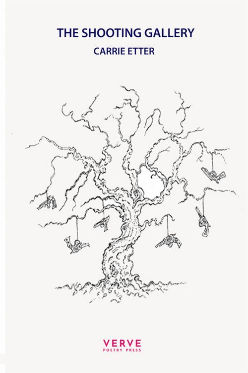 Produktbild: The Shooting Gallery