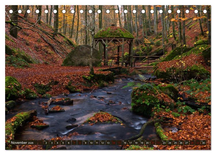 Produktbild: Augenschmaus Pf&auml;lzer Wald (Tischkalender 2026 DIN A5 quer), CALVENDO Monatskalender