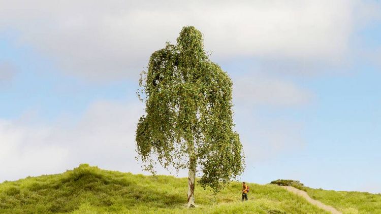 Produktbild: NOCH 20120 Baum H&auml;ngebirke 180mm 1St.