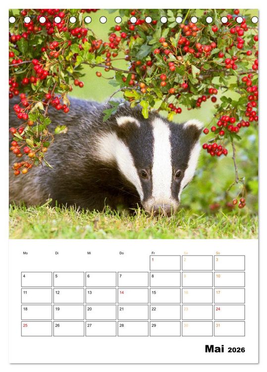 Produktbild: Wilde Tiere: Zuhause in Wald und Flur (Tischkalender 2026 DIN A5 hoch), CALVENDO Monatskalender
