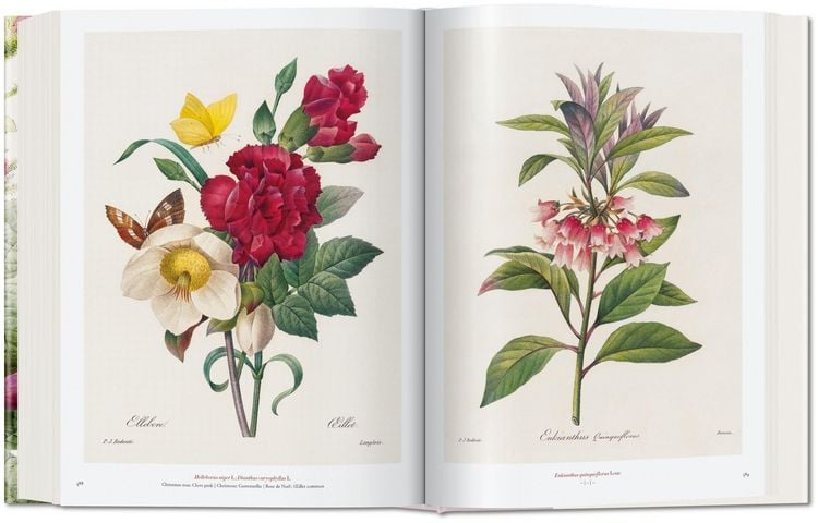 Produktbild: Redout&eacute;. The Book of Flowers
