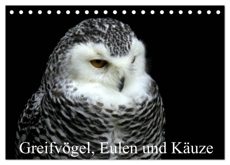 Produktbild: Greifv&ouml;gel, Eulen und K&auml;uze (Tischkalender 2026 DIN A5 quer), CALVENDO Monatskalender