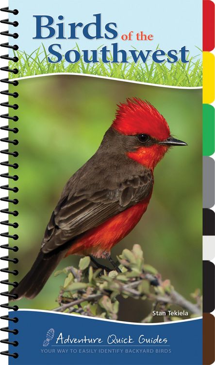 Produktbild: Birds of the Southwest