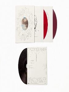 Produktbild: The Divine Feminine (10th Anniversary)