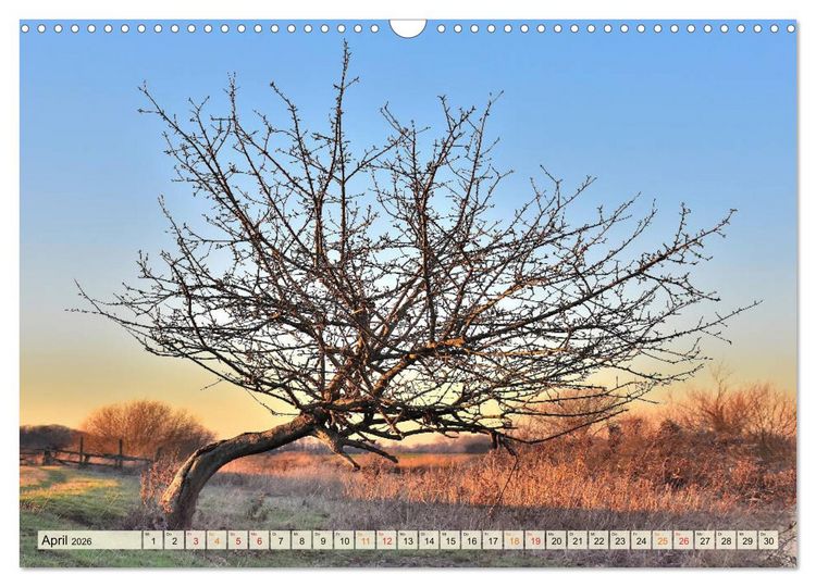 Produktbild: Landschaft an der W&uuml;mme (Wandkalender 2026 DIN A3 quer), CALVENDO Monatskalender