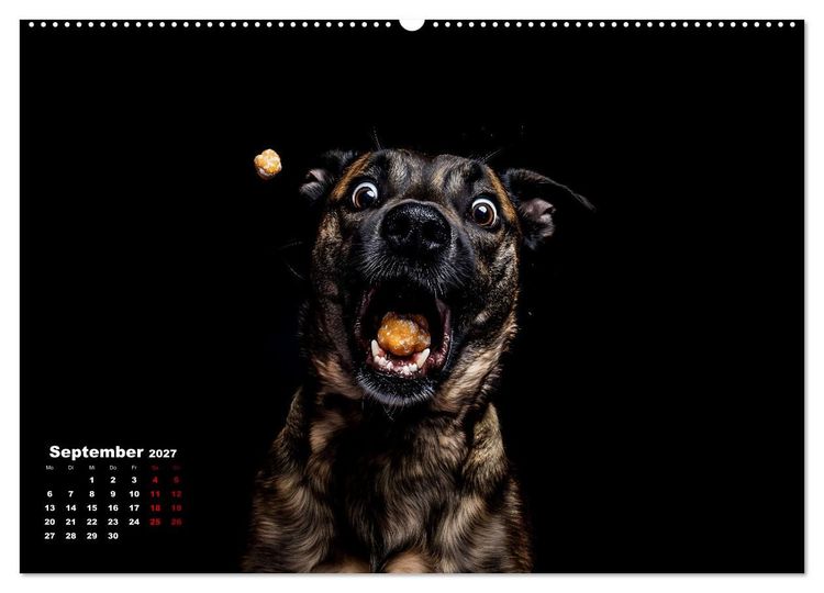 Produktbild: Leckerchen! (hochwertiger Premium Wandkalender 2027 DIN A2 quer), Kunstdruck in Hochglanz