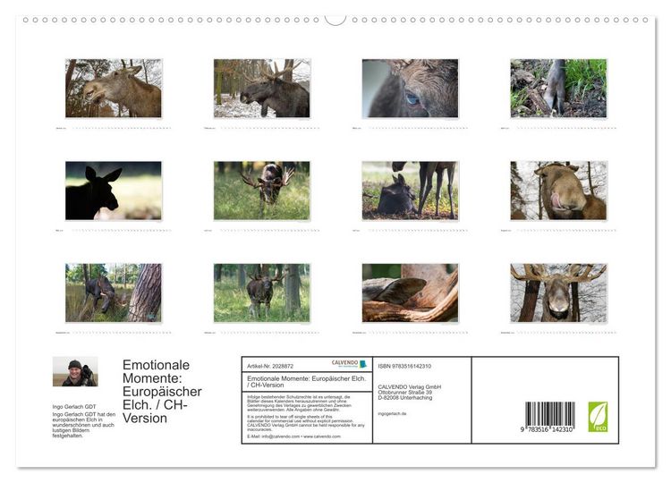 Produktbild: Emotionale Momente: Europ&auml;ischer Elch. / CH-Version (hochwertiger Premium Wandkalender 2026 DIN A2 quer), Kunstdruck in Hochglanz