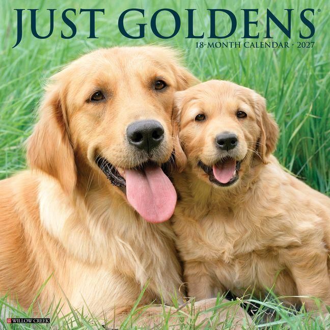 Produktbild: Goldens 2027 12 X 12 Wall Calendar