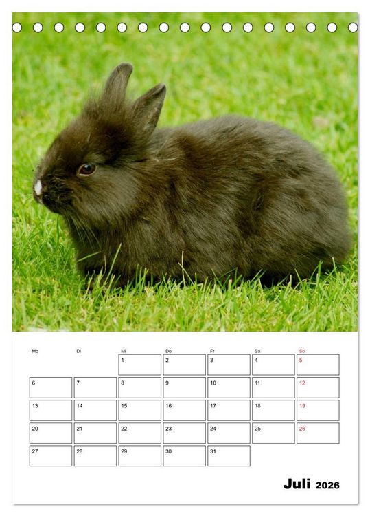 Produktbild: Kaninchen Terminplaner (Tischkalender 2026 DIN A5 hoch), CALVENDO Monatskalender